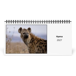 Hyena 2027 Desk Calendar