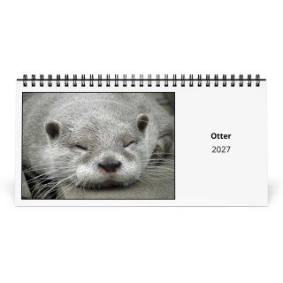 Otter 2027 Desk Calendar