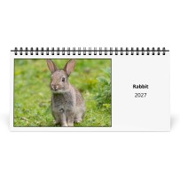 Coniglio 2027 Calendario da Tavolo
