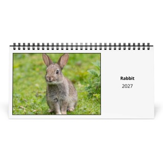 Rabbit 2027 Desk Calendar