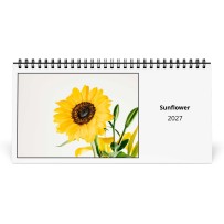 Sonnenblume 2027 Tischkalender