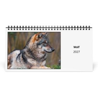 Wolf 2027 Bureaukalender