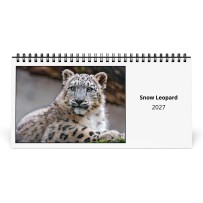 Snöleopard 2027 Skrivbordskalender