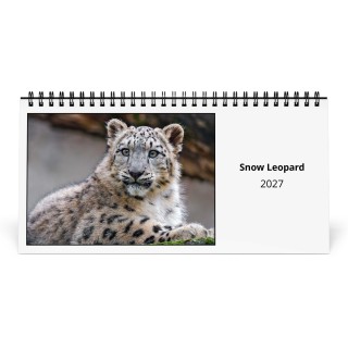 Snow Leopard 2027 Desk Calendar