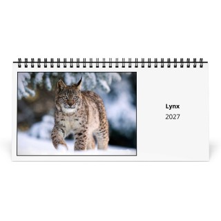 Lynx 2027 Desk Calendar