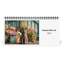 ロシアンブルーの猫 2027 年卓上カレンダー