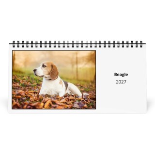 Beagle 2027 Desk Calendar