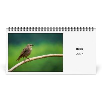 Pájaros 2027 Calendario de Escritorio