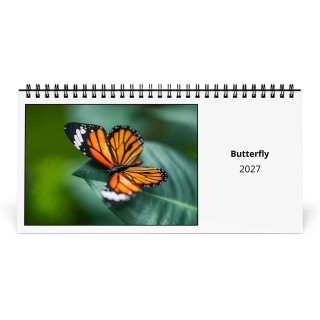 Butterfly 2027 Desk Calendar