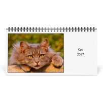 Gatto 2027 Calendario da Tavolo