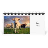 Cow 2027 Desk Calendar