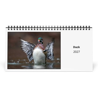 Duck 2027 Desk Calendar
