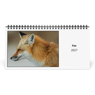 Fox 2027 Desk Calendar