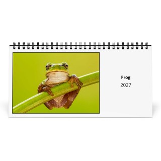 Frog 2027 Desk Calendar