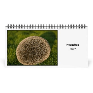Hedgehog 2027 Desk Calendar