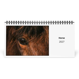 Horse 2027 Desk Calendar