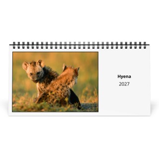 Hyena 2027 Desk Calendar