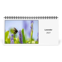 Lavendel 2027 Bureaukalender