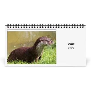 Otter 2027 Desk Calendar