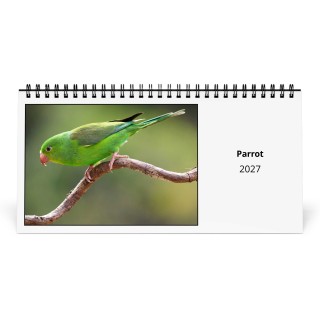 Parrot 2027 Desk Calendar