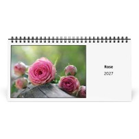 Rosa 2027 Calendario da Tavolo
