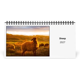 Sheep 2027 Desk Calendar