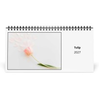 Tulip 2027 Desk Calendar