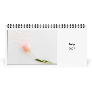 Tulip 2027 Desk Calendar