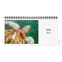 Tortuga 2027 Calendario de Escritorio