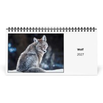 Wolf 2027 Desk Calendar