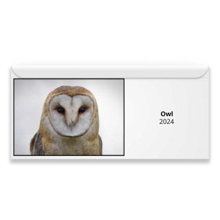 Owl 2024 Magnetic Calendar