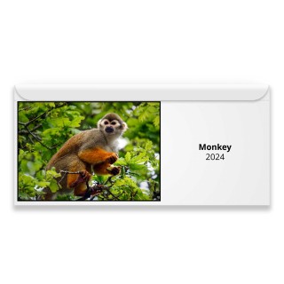 Monkey 2024 Magnetic Calendar