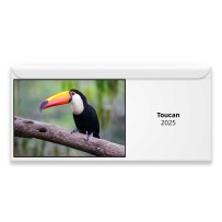 Toucan 2024 Magnetic Calendar