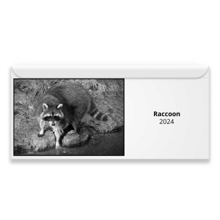 Raccoon 2024 Magnetic Calendar