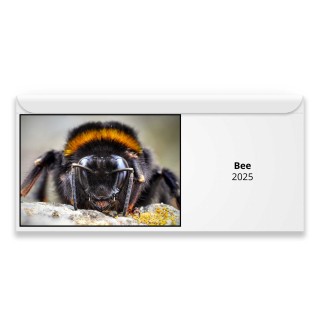 Bee 2024 Magnetic Calendar