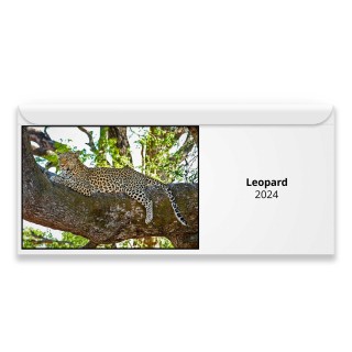 Leopard 2024 Magnetic Calendar