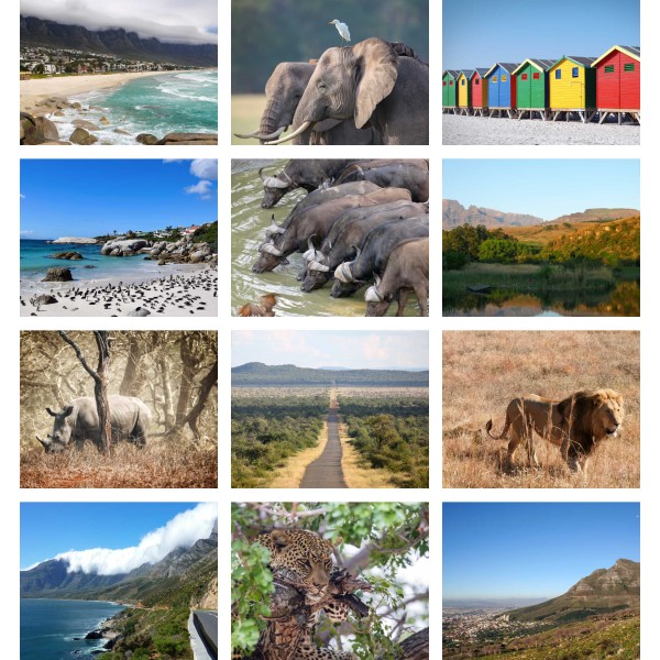 Safari South (Vol. I)