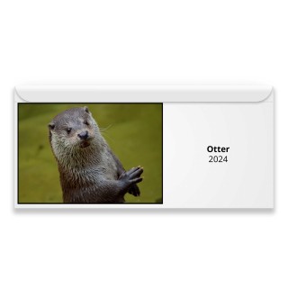 Otter 2024 Magnetic Calendar