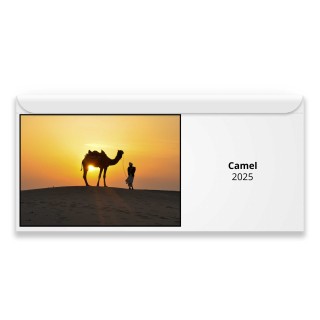 Camel 2024 Magnetic Calendar