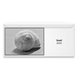Snail 2024 Magnetic Calendar