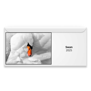 Swan 2024 Magnetic Calendar