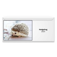 Hedgehog 2024 Magnetic Calendar