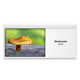 Mushroom 2024 Magnetic Calendar