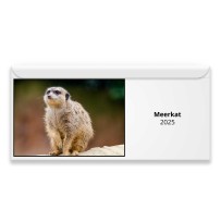 Meerkat 2024 Magnetic Calendar