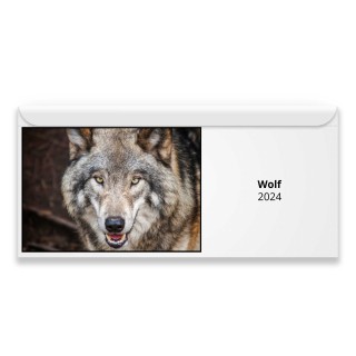 Wolf 2024 Magnetic Calendar