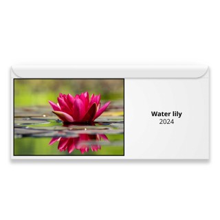 Water lily 2024 Magnetic Calendar