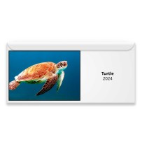 Turtle 2024 Magnetic Calendar