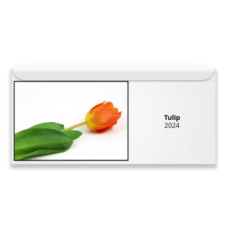Tulip 2024 Magnetic Calendar