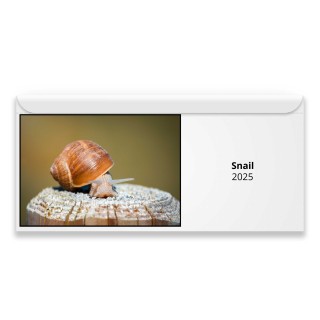 Snail 2024 Magnetic Calendar