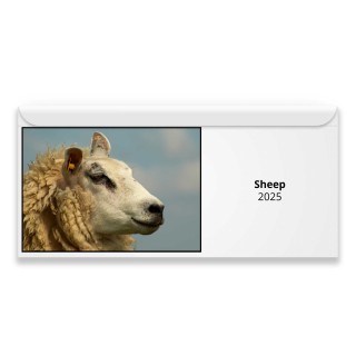 Sheep 2024 Magnetic Calendar